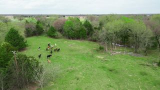 14699 Barfield Lane, Kaufman, TX 75142