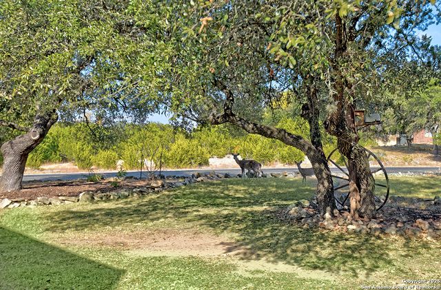 518 Oracle, San Antonio, TX 78260