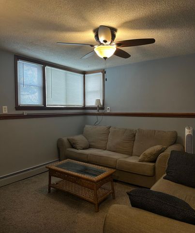 1017 Bailley Street, Hastings, MN 55033