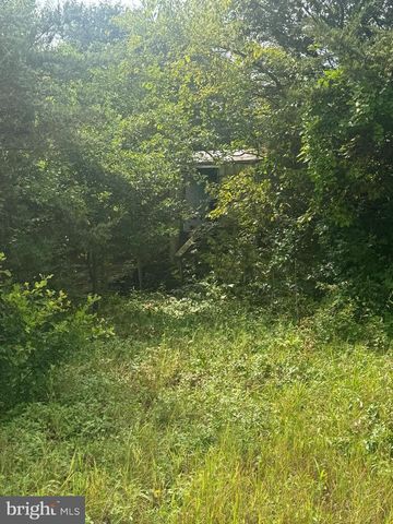 4715 PETERSBURG BACK ST, Hurlock, MD 21643