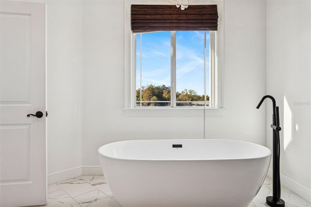 11606 LIPSEY ROAD, Tampa, FL 33618