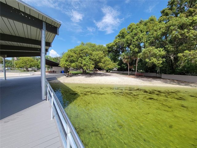 11606 LIPSEY ROAD, Tampa, FL 33618