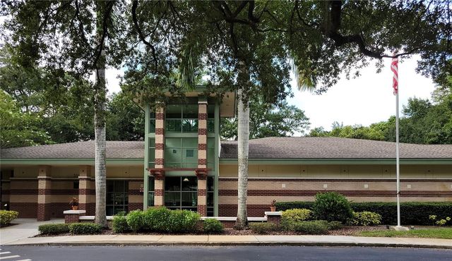 11606 LIPSEY ROAD, Tampa, FL 33618