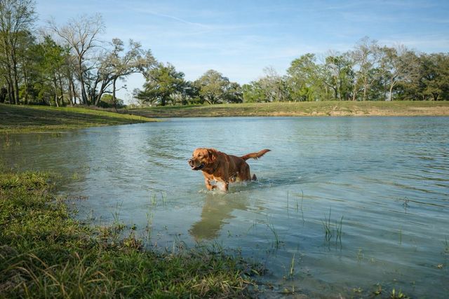 1301 County Road 218, Weimar, TX 78962