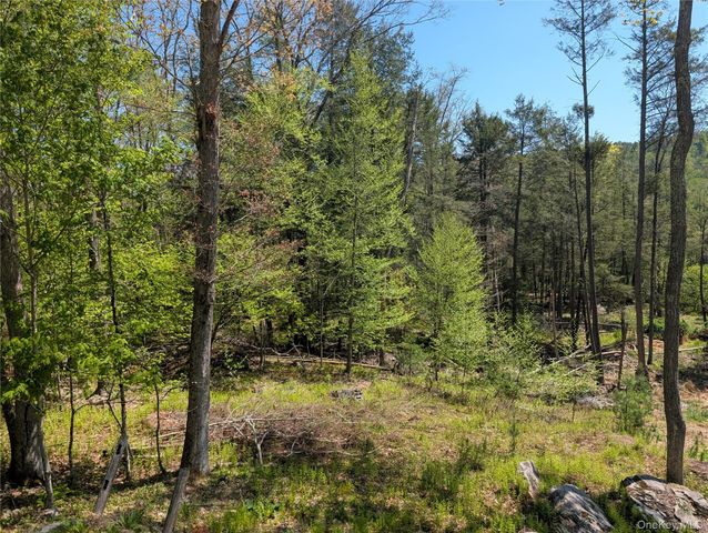 582 Lake Shore Lane, Narrowsburg, NY 12764