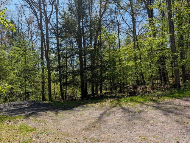 582 Lake Shore Lane, Narrowsburg, NY 12764
