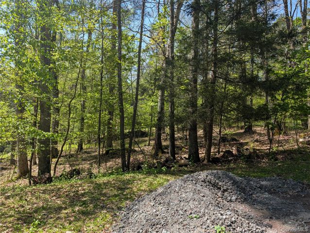 582 Lake Shore Lane, Narrowsburg, NY 12764