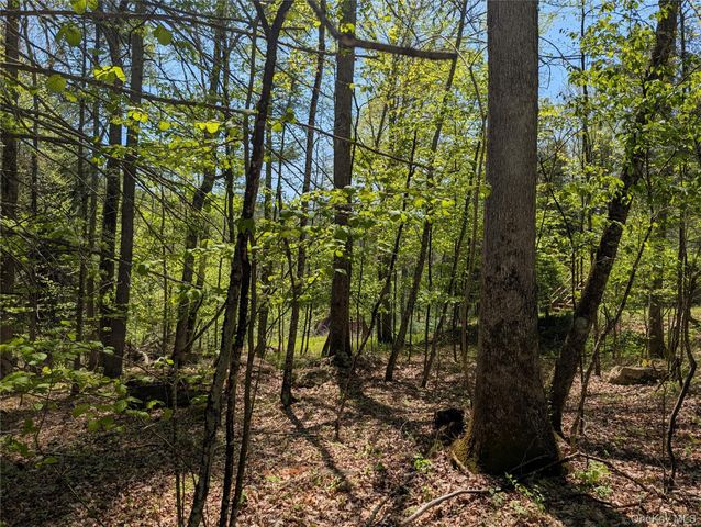 582 Lake Shore Lane, Narrowsburg, NY 12764
