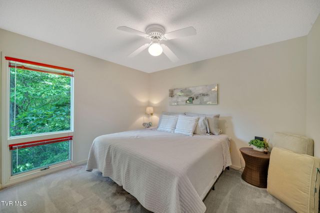 310 Cove Ridge Lane, Butler, TN 37640