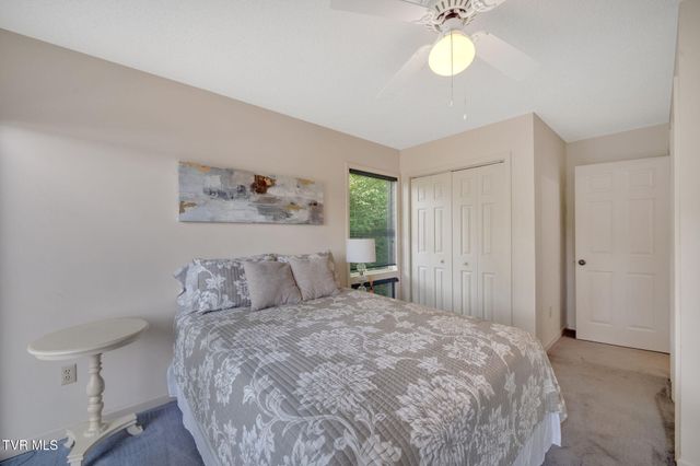 310 Cove Ridge Lane, Butler, TN 37640