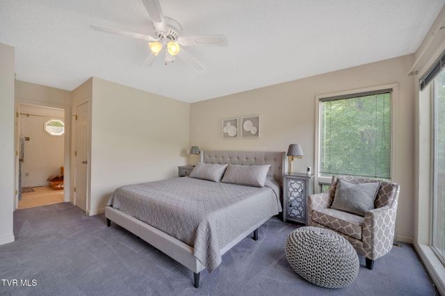 310 Cove Ridge Lane, Butler, TN 37640