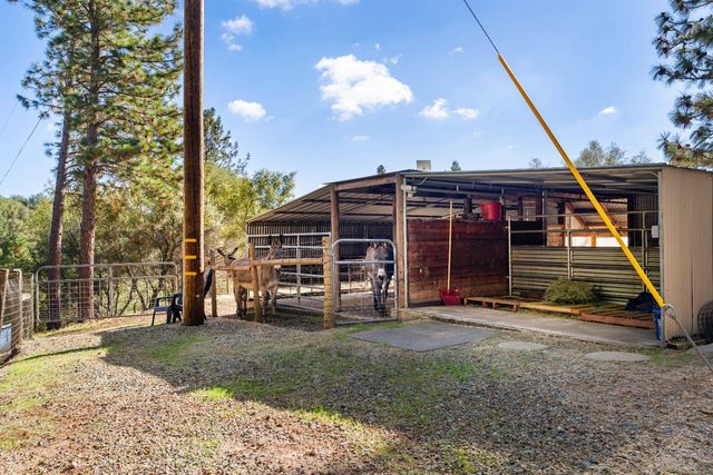 15045 Tyler Rd, Fiddletown, CA 95629
