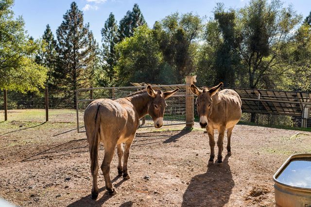 15045 Tyler Rd, Fiddletown, CA 95629