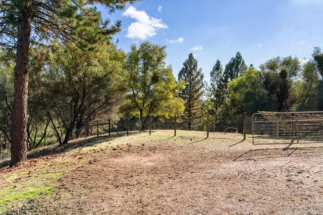 15045 Tyler Rd, Fiddletown, CA 95629