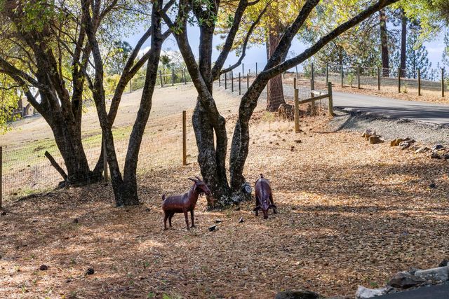 15045 Tyler Rd, Fiddletown, CA 95629