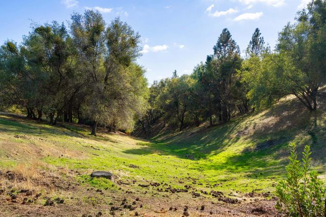 15045 Tyler Rd, Fiddletown, CA 95629