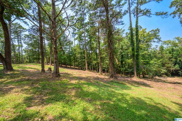 1625 SALEM ROAD, Montevallo, AL 35115