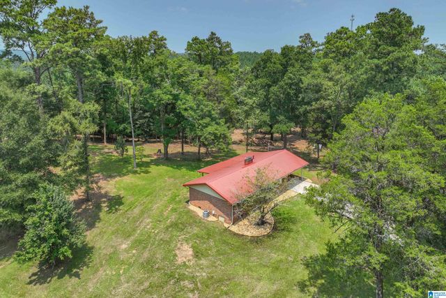 1625 SALEM ROAD, Montevallo, AL 35115