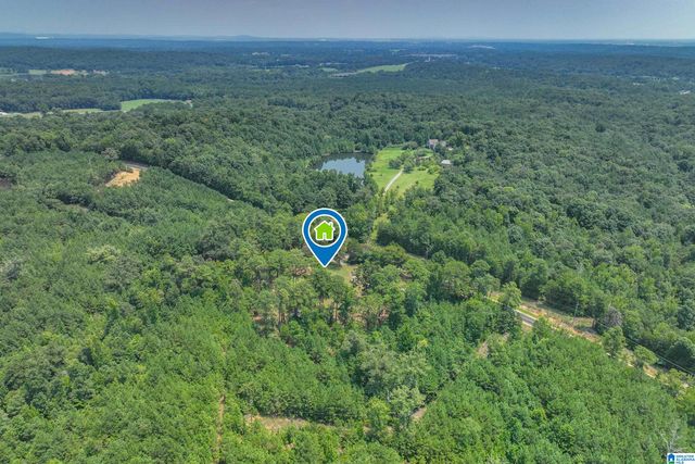 1625 SALEM ROAD, Montevallo, AL 35115