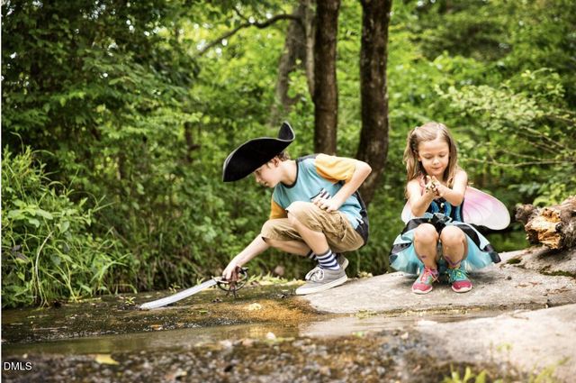 620 Helping Horse Lane, Wendell, NC 27591