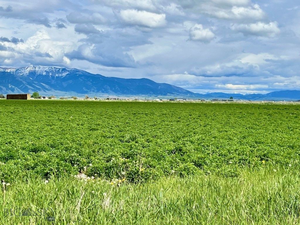 1480 Bolinger Road, Belgrade, MT 59714 photo 8