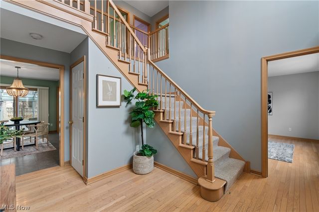 4469 Shelly Drive, Seven Hills, OH 44131