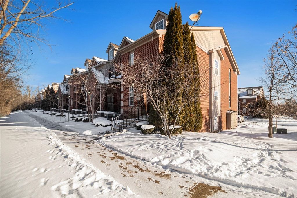 217 W Oakbrook Drive, Ann Arbor, MI 48103