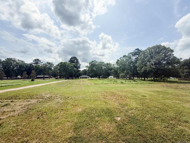 29378 S Anne Dr, Walker, LA 70785