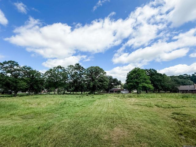 29378 S Anne Dr, Walker, LA 70785