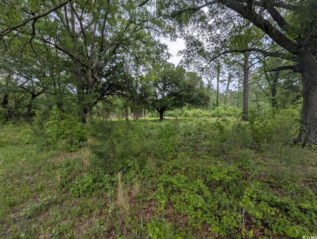 450 Hayfield Rd., Georgetown, SC 29440
