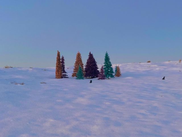 2062 Three Eagles Way, Loma, CO 81524