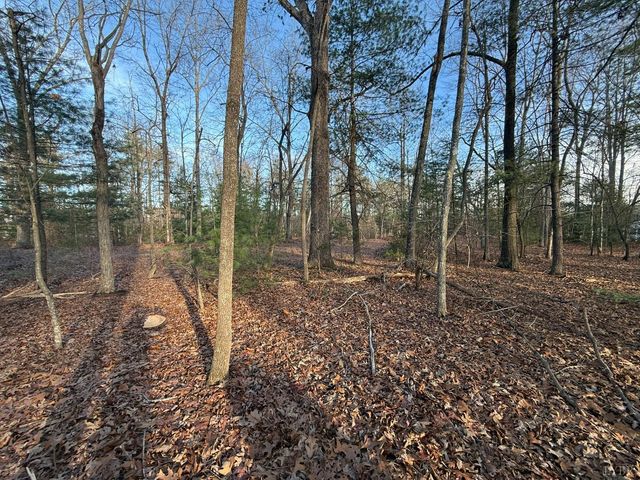 1 Lot Blue Sky Court, Monroe, VA 24574