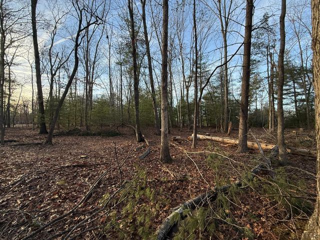 1 Lot Blue Sky Court, Monroe, VA 24574