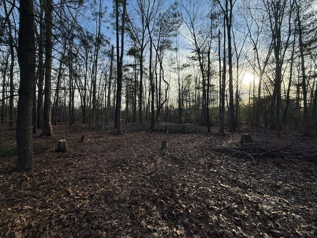 1 Lot Blue Sky Court, Monroe, VA 24574