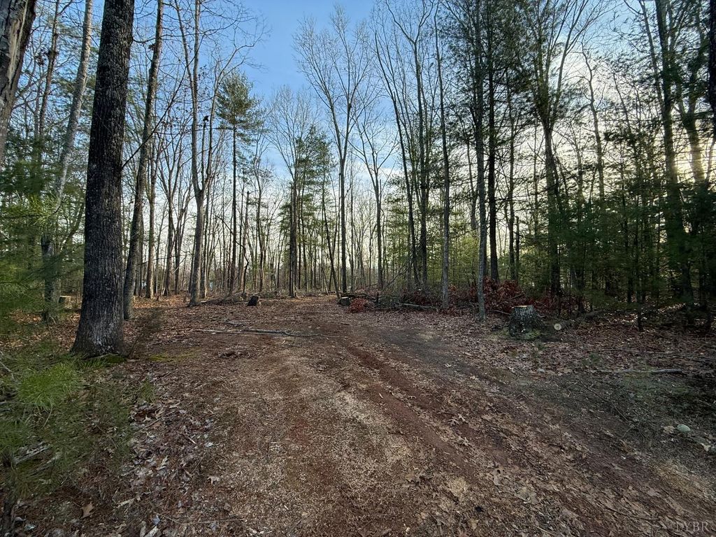1 Lot Blue Sky Court, Monroe, VA 24574