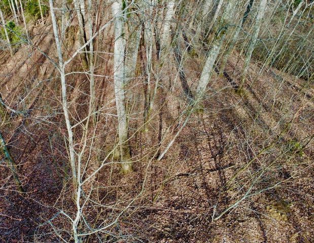 120 Croft Mountain Road, Blairsville, GA 30512