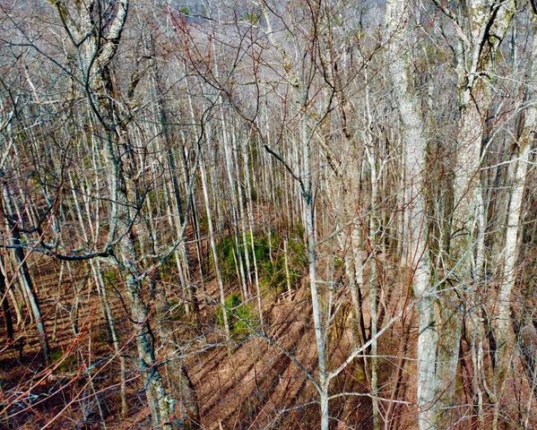 120 Croft Mountain Road, Blairsville, GA 30512