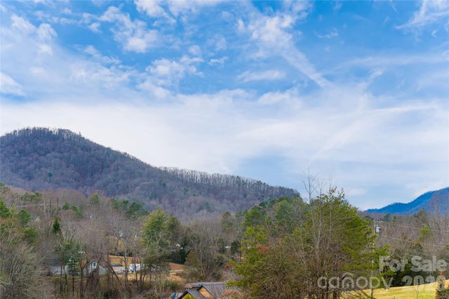 308 Goughes Branch Road, Leicester, NC 28748