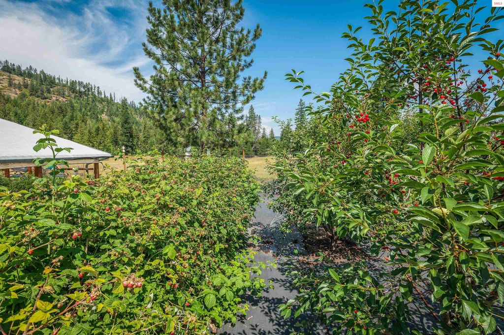 88 Fenway Drive/134 Nordic Sky, Sagle, ID 83860 photo 43