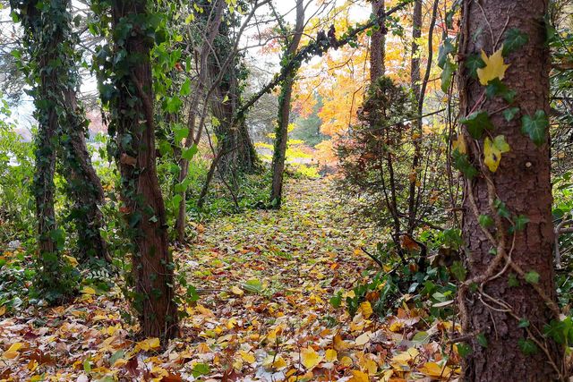 18486 W Spring Lake Road, Spring Lake, MI 49456