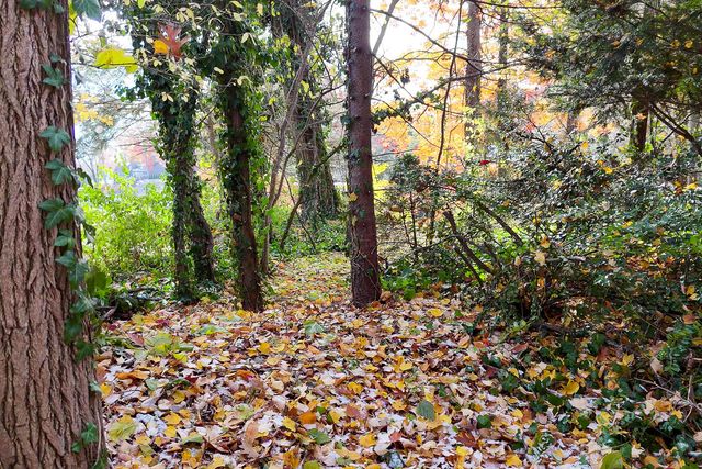 18486 W Spring Lake Road, Spring Lake, MI 49456