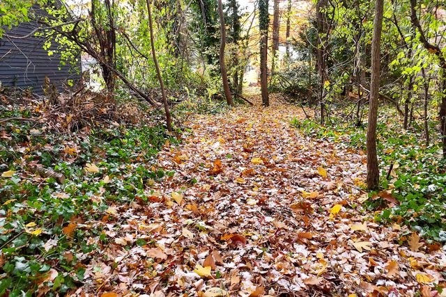 18486 W Spring Lake Road, Spring Lake, MI 49456