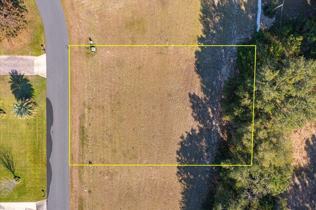 1007 MYRTLE BREEZES COURT, Fruitland Park, FL 34731