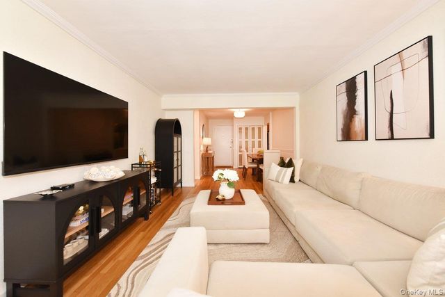 1 Birchwood Court 2O, Mineola, NY 11501