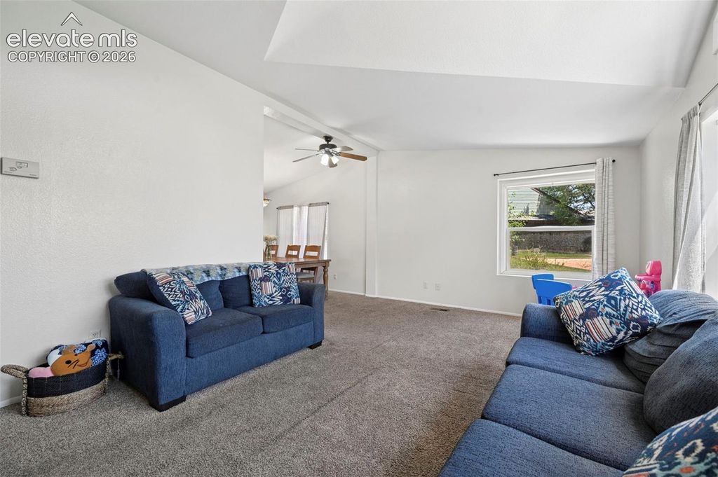 7659 Marmot Point, Colorado Springs, CO 80922 — photo 4