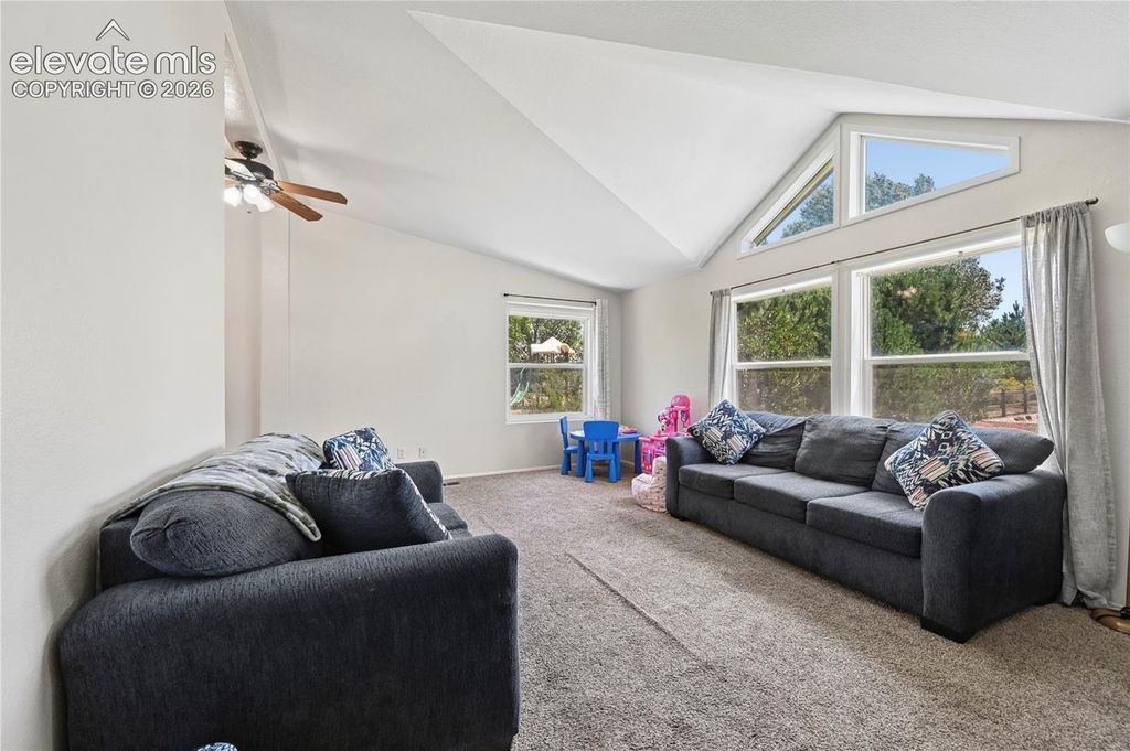 7659 Marmot Point, Colorado Springs, CO 80922 — photo 5