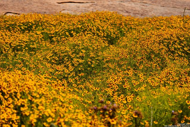 611 W Burbank St, Fredericksburg, TX 78624