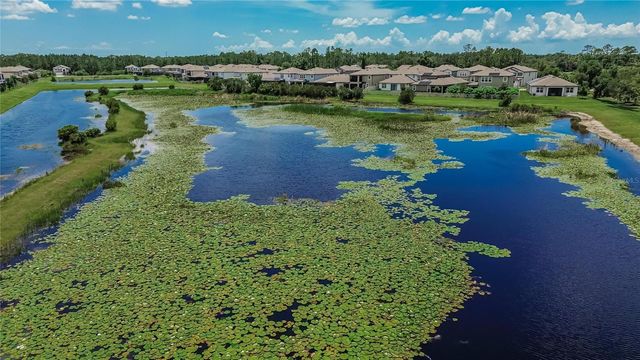 7321 GULF CYPRESS AVENUE, Land O Lakes, FL 34637
