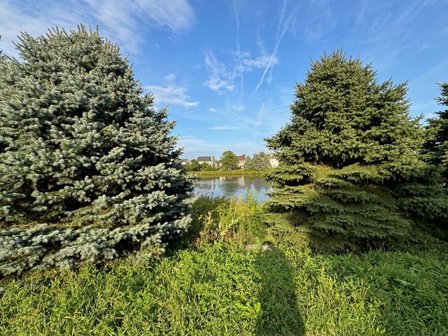 2068 Canyon Creek Court 2068, Aurora, IL 60503
