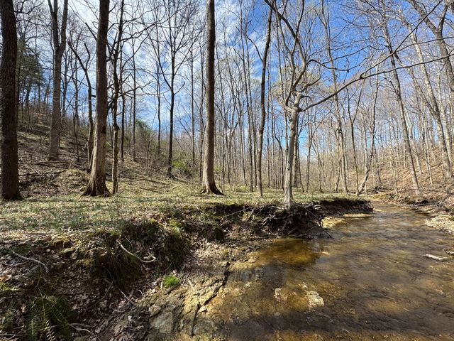 1137 Poplar Grove Rd, Westmoreland, TN 37186